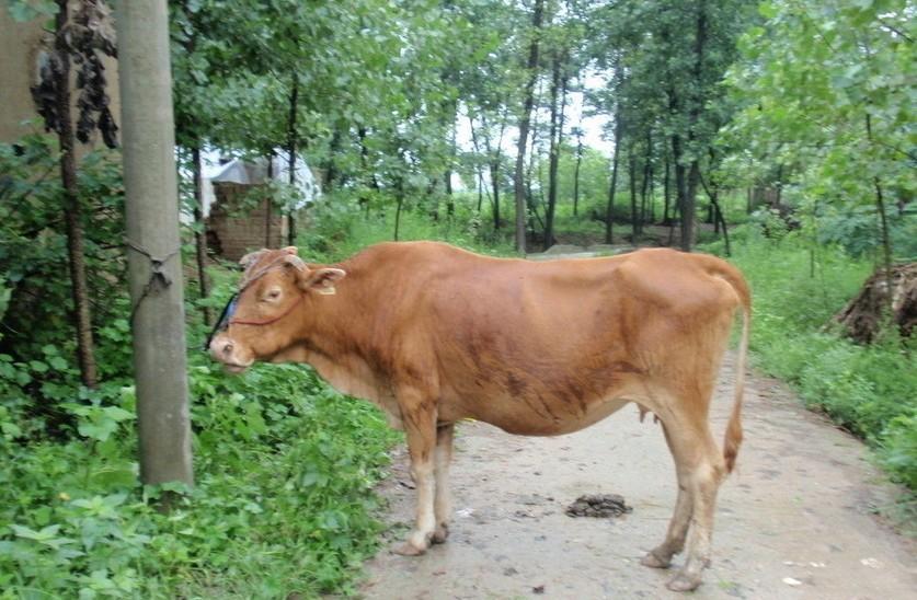 玉溪最新求一个套医保卡的黄牛是真的吗方法分析(最方便真实的玉溪求一个套医保卡的黄牛是真的吗还是假的方法)